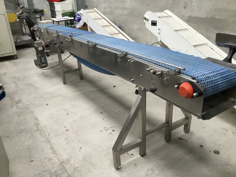 Blue Intralox Conveyor at Food Machinery Auctions