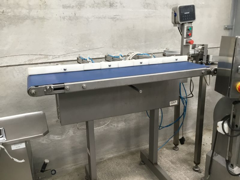 Linco Conveyor at Food Machinery Auctions